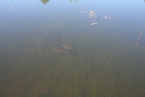 JLV2012 050
